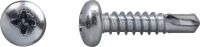 Bohrschraube m.Linsenkopf 6047/001/01 4,8x25