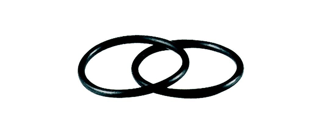 O-Ring 313 G