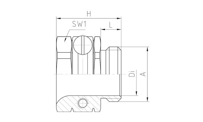 Druckschraube 05M25