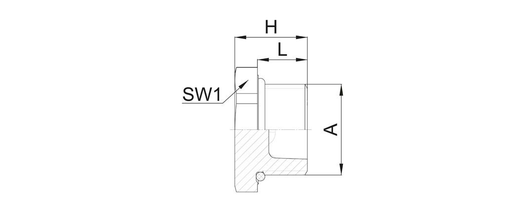 Verschlussschraube V301-1020-03