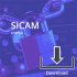 SICAM GridPass Essential 6MD7711-2AA00-1EA0