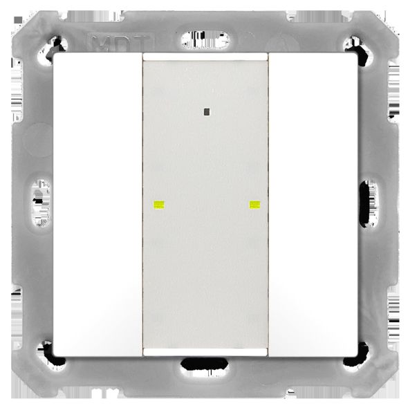 Taster Plus TS 55 2-fach BE-TA55T2.02 Taster Plus TS 55 2-fach BE-TA55T2.02