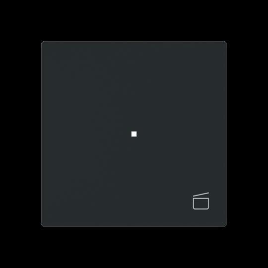 Wippe 1-fach mit Symbol 6233-10-45M Wippe 1-fach mit Symbol 6233-10-45M