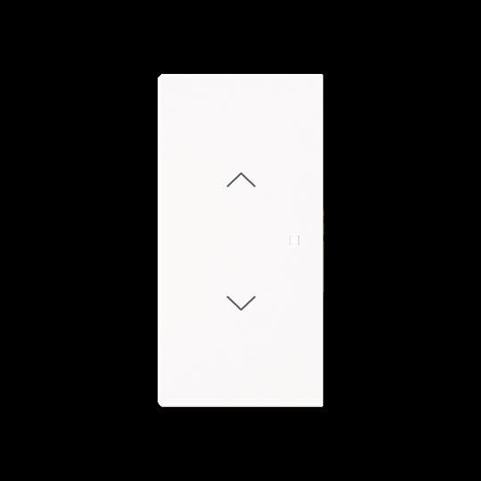 Wippe 2-fach mit Symbol 6232-20-44G Wippe 2-fach mit Symbol 6232-20-44G