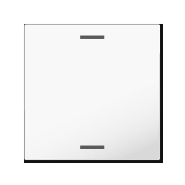 MDT Wippe KNXTasterLight55 BE-TAL55W102.01 MDT Wippe KNXTasterLight55 BE-TAL55W102.01