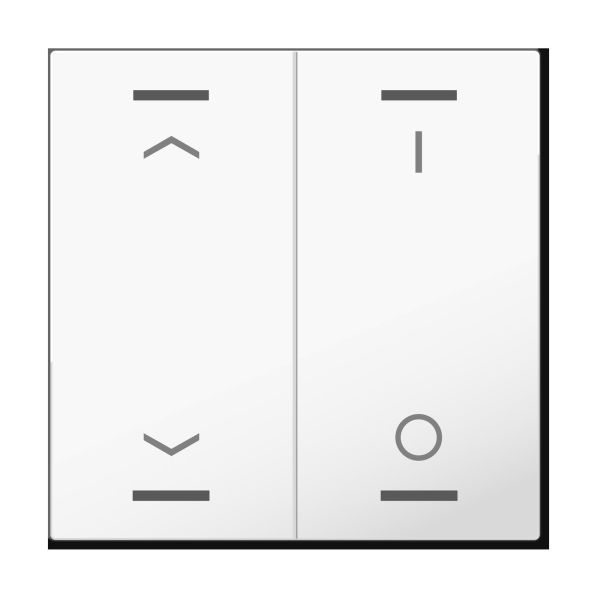 MDT Wippe KNXTasterLight63 BE-TAL63W204.C1 MDT Wippe KNXTasterLight63 BE-TAL63W204.C1