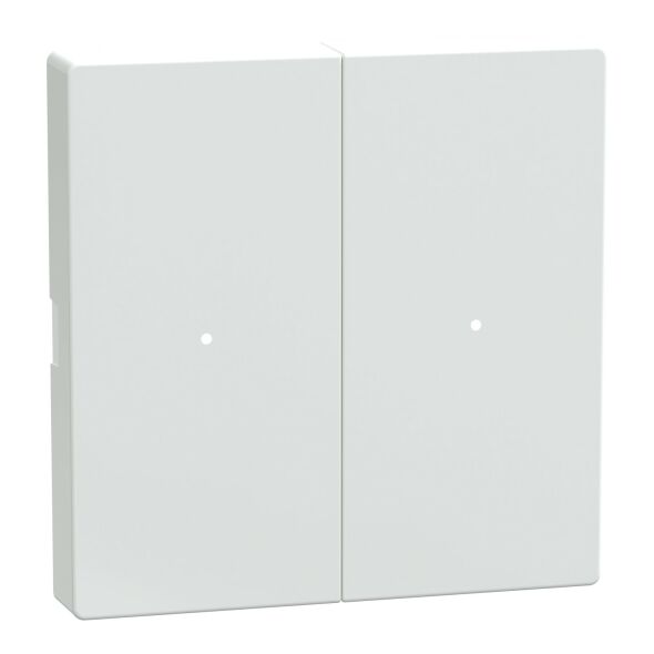 Wippe Tastermodul 2fach MTN619225