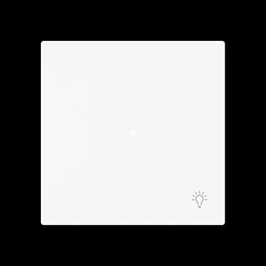 Wippe 1-fach mit Symbol 6231-10-44G Wippe 1-fach mit Symbol 6231-10-44G