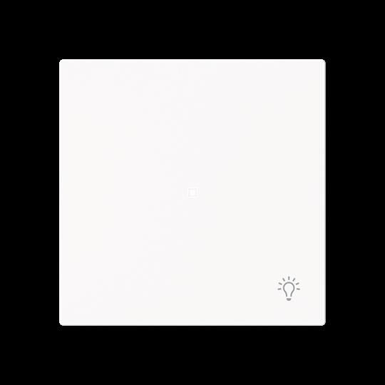 Wippe 1-fach mit Symbol 6231-10-44M Wippe 1-fach mit Symbol 6231-10-44M