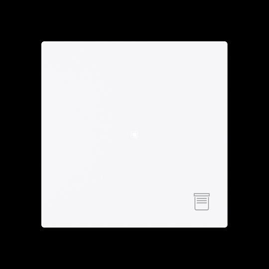 Wippe 1-fach mit Symbol 6232-10-44G Wippe 1-fach mit Symbol 6232-10-44G
