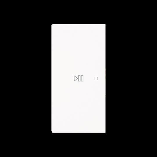 Wippe 2-fach links Symbol 6237-21-44G Wippe 2-fach links Symbol 6237-21-44G
