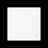 Wippe 1-fach mit Symbol 6231-10-44G