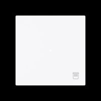 Wippe 1-fach mit Symbol 6232-10-44G