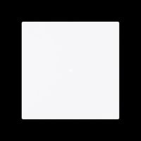 Wippe, 1-fach neutral ohne 6230-10-44G