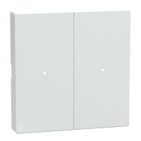Wippe Tastermodul 2fach MTN619225