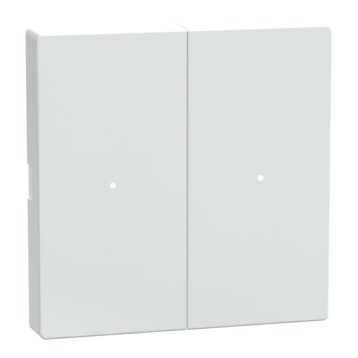 Wippe Tastermodul 2fach MTN619225