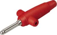 Stecker BUELA 300 K rt