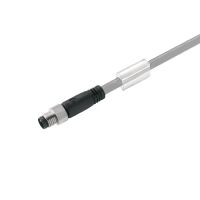 Kabel SAIL-M8G-#1981920150