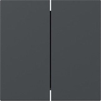 Wippe 349528 2-fach gerade anthrazit - neue Generation Wippe 349528 2-fach gerade anthrazit - neue Generation