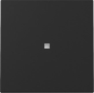 Wippe 3290005 Kontrollf. schwarz matt - neue Generation Wippe 3290005 Kontrollf. schwarz matt - neue Generation