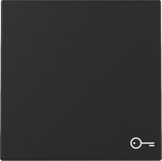 Wippe 3287005 Symb. Tür schwarz matt - neue Generation Wippe 3287005 Symb. Tür schwarz matt - neue Generation