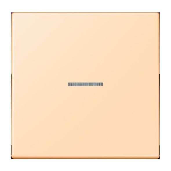 Wippe mit Lichtleiter LC 101 KO5 223 Wippe mit Lichtleiter LC 101 KO5 223