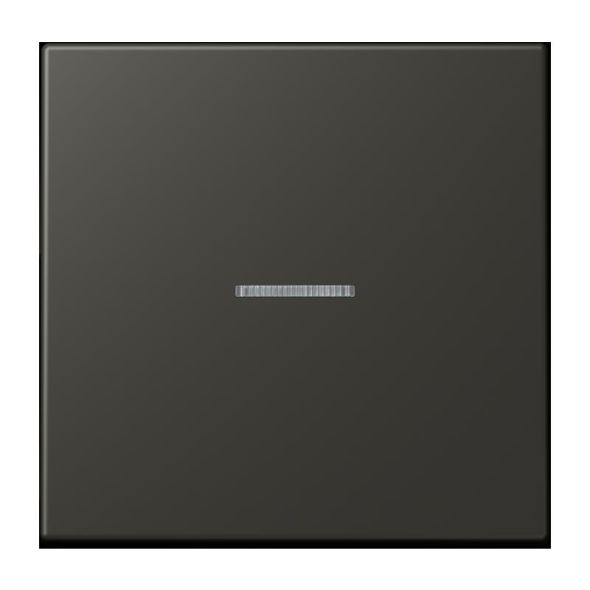 Wippe mit Lichtleiter LC 101 KO5 259 Wippe mit Lichtleiter LC 101 KO5 259