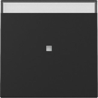 Wippe 3670005 Kontrollf. schwarz matt - neue Generation Wippe 3670005 Kontrollf. schwarz matt - neue Generation