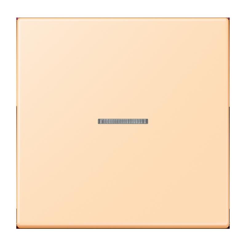 Wippe mit Lichtleiter LC 101 KO5 223
