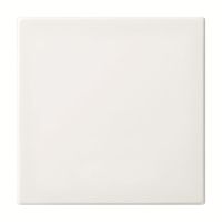 BT-Bedienelement 1-fach 6735 BT-914