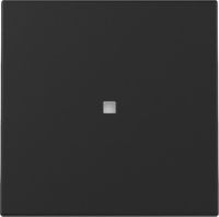 Wippe 3290005 Kontrollf. schwarz matt - neue Generation