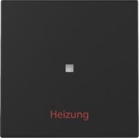 Wippe 3678005 Kontrollf. + Heizung schwarz matt - neue Generation