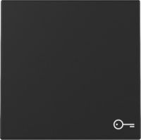 Wippe 3287005 Symb. Tür schwarz matt - neue Generation