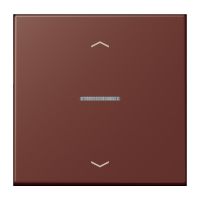 Wippe mit Lichtleiter LC 101 KO5P 235