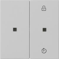 Funk-Bedienaufsatz 5493015 grau matt