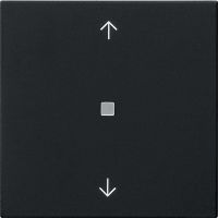 Funk-Bedienaufsatz 5494005 schwarz matt