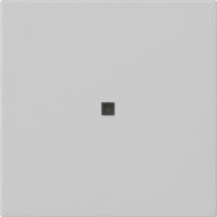 Funk-Bedienaufsatz 5495015 grau matt