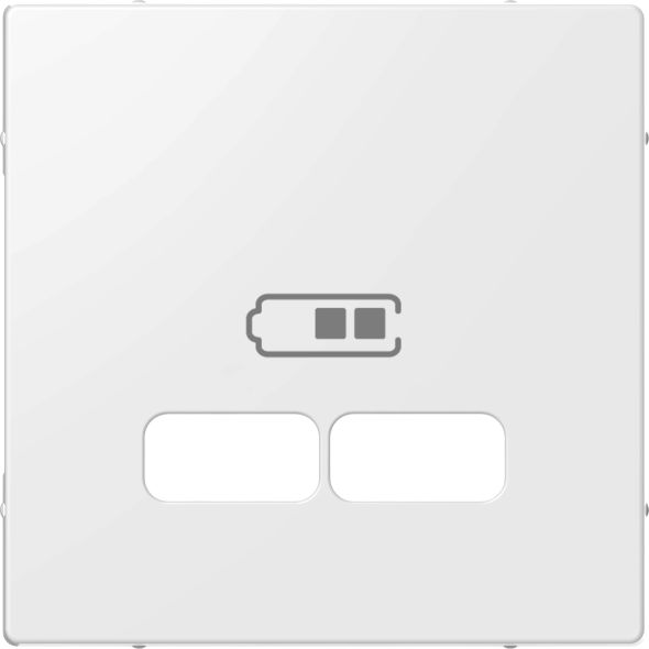 Zentralplatte für USB rws ELG363204 Zentralplatte für USB rws ELG363204
