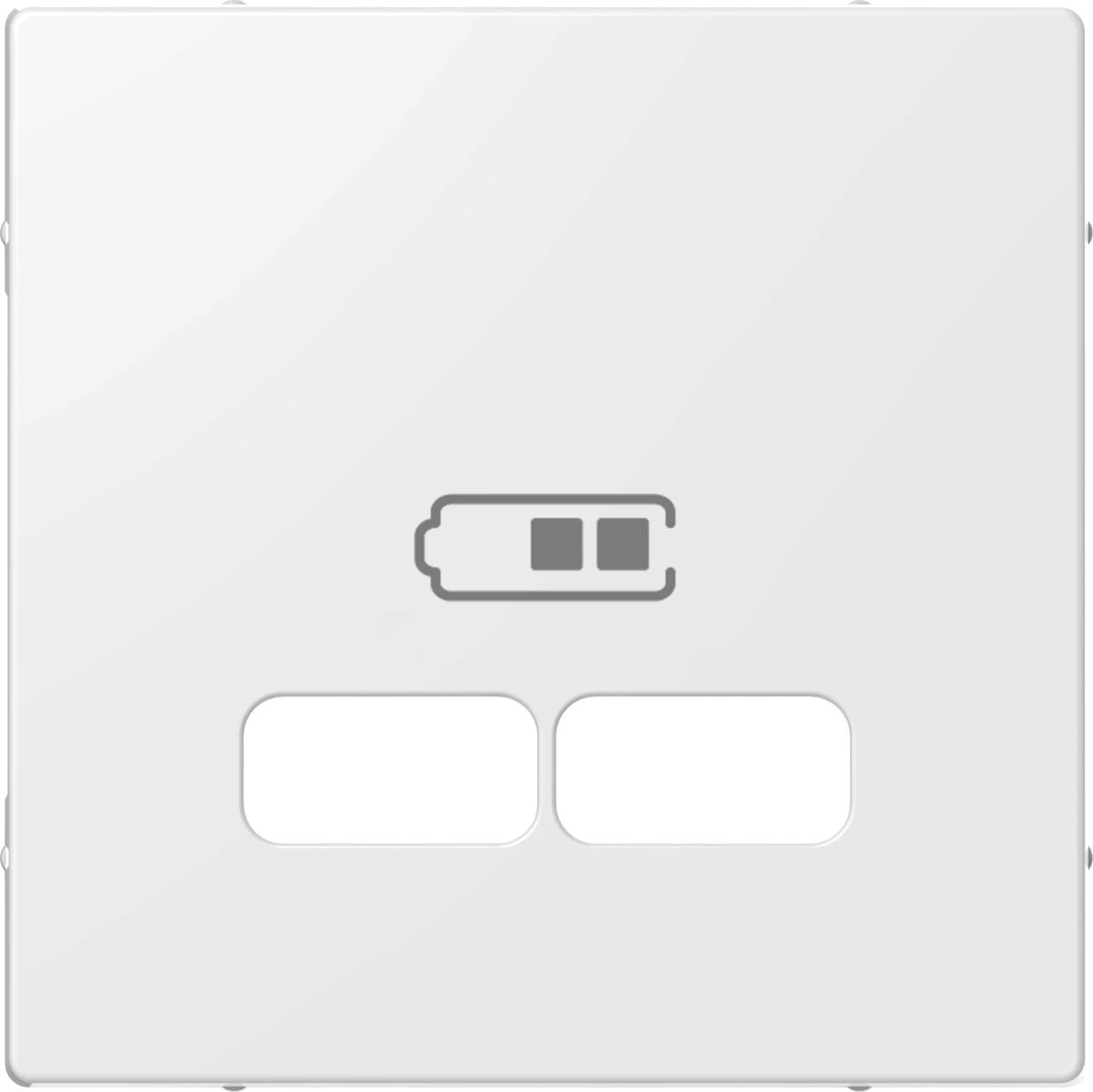 Zentralplatte für USB rws ELG363204
