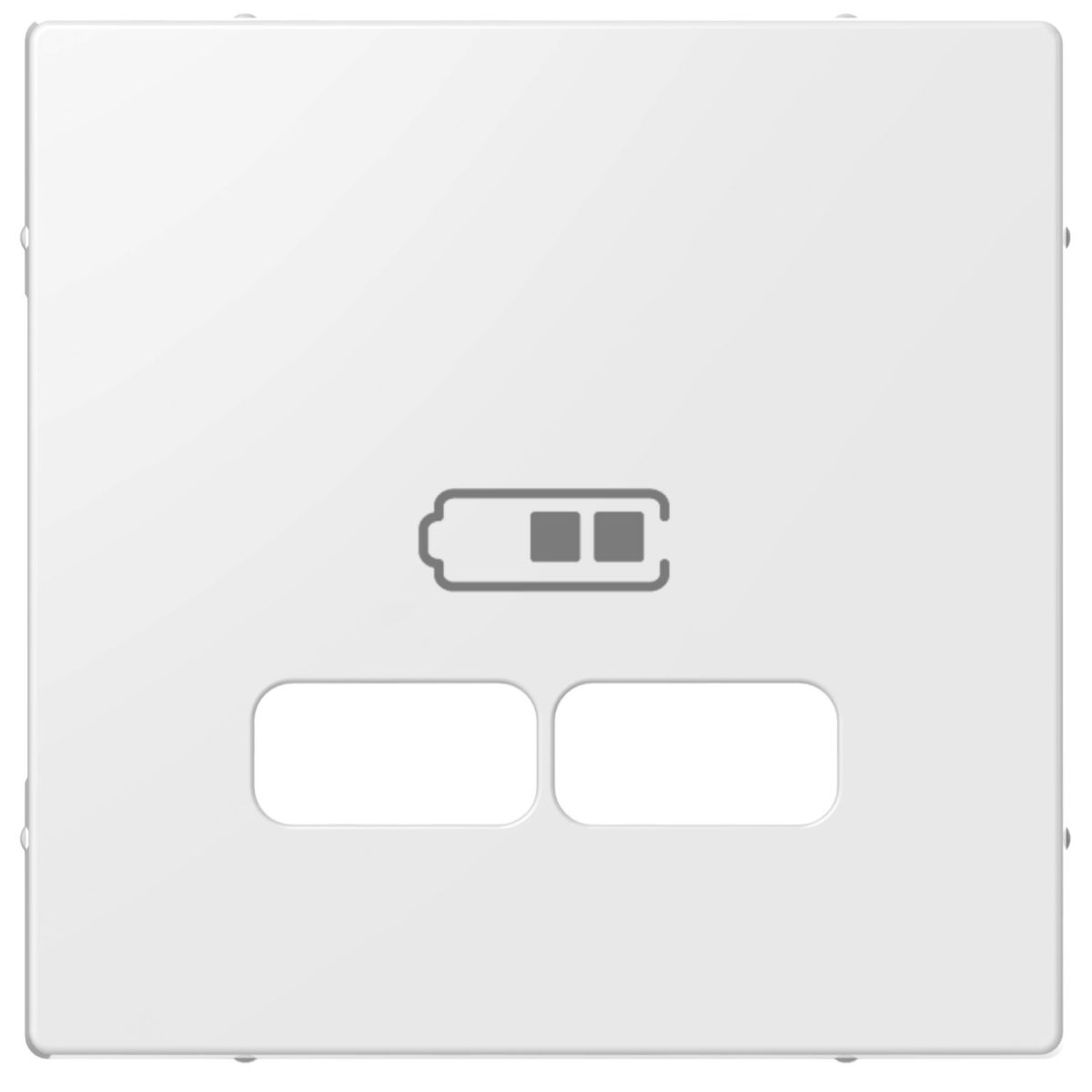Zentralplatte für USB rws ELG363204