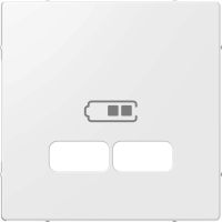 Zentralplatte für USB rws ELG363204