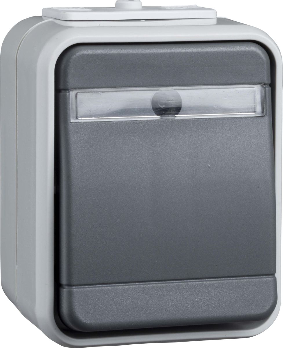 Wechselschalter 441639