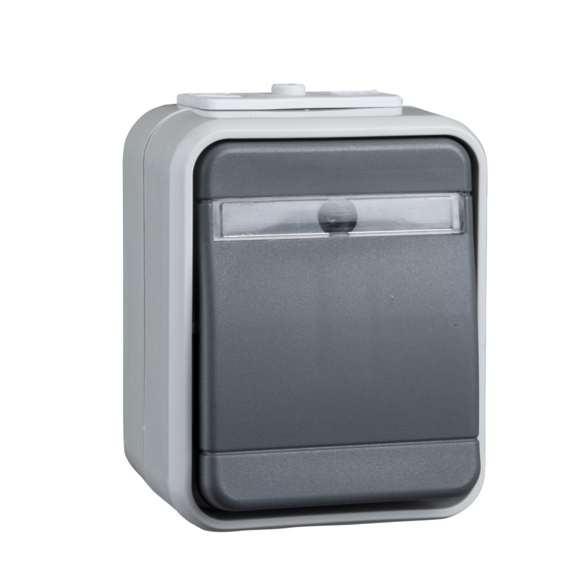 Wechselschalter 441639