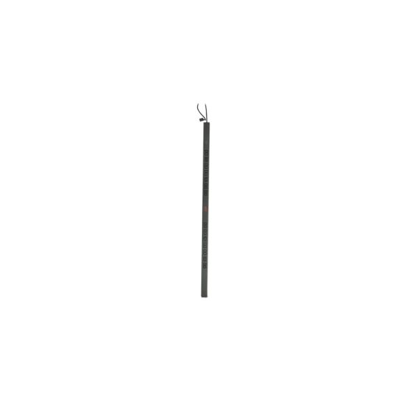 Basic Rack PDU AP7552 Basic Rack PDU AP7552