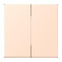 Hue Funk-Wandsender Set FOH LC 995 228