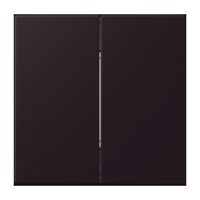 Hue Funk-Wandsender Set FOH LC 995 248