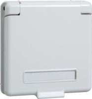 Zentralplatte Steckdose 223164