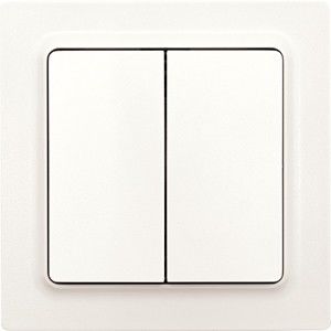 Wipptaster W2T55E-pm Wipptaster W2T55E-pm