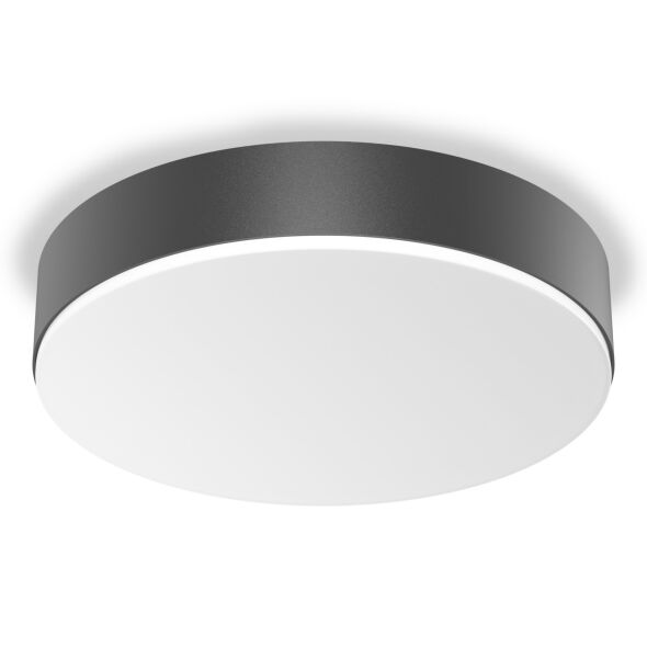 LED-Sensor-Leuchte RSPROA30 SC nw anthr LED-Sensor-Leuchte RSPROA30 SC nw anthr