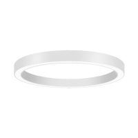 LED-Anbau-Ringleuchte 13570173